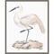 A White Heron III by Melissa W 16-in. W x 20-in. H. Canvas Wall Art Print Framed in Grey